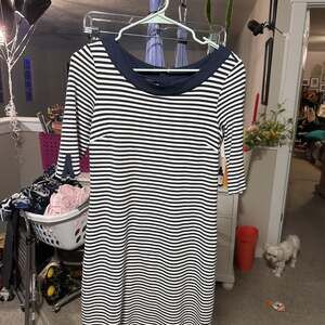 Banana Republic Woven Stripe Boatneck Elbow Sleeve Mini Dress